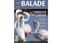 En balade hiver 2016-2017